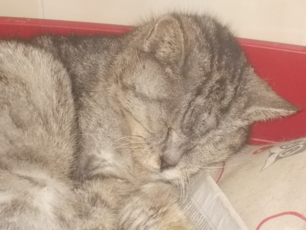 DSCN1622 (FILEminimizer)