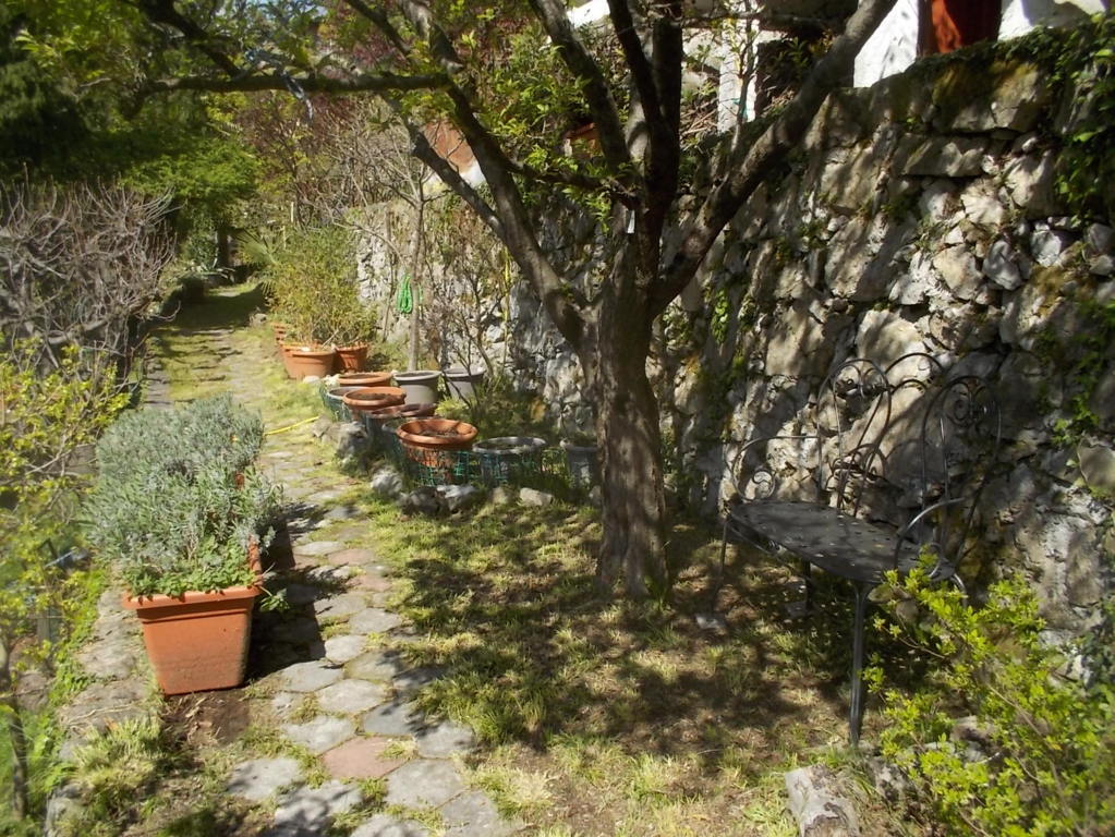 DSCN1623 (FILEminimizer)