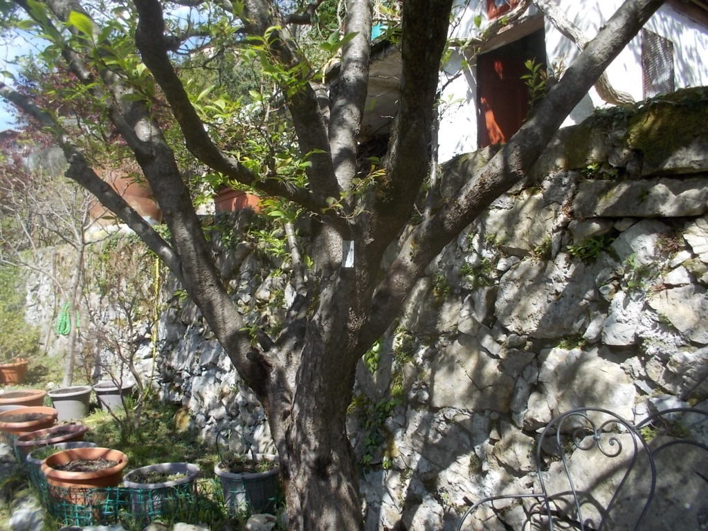 DSCN1624 (FILEminimizer)