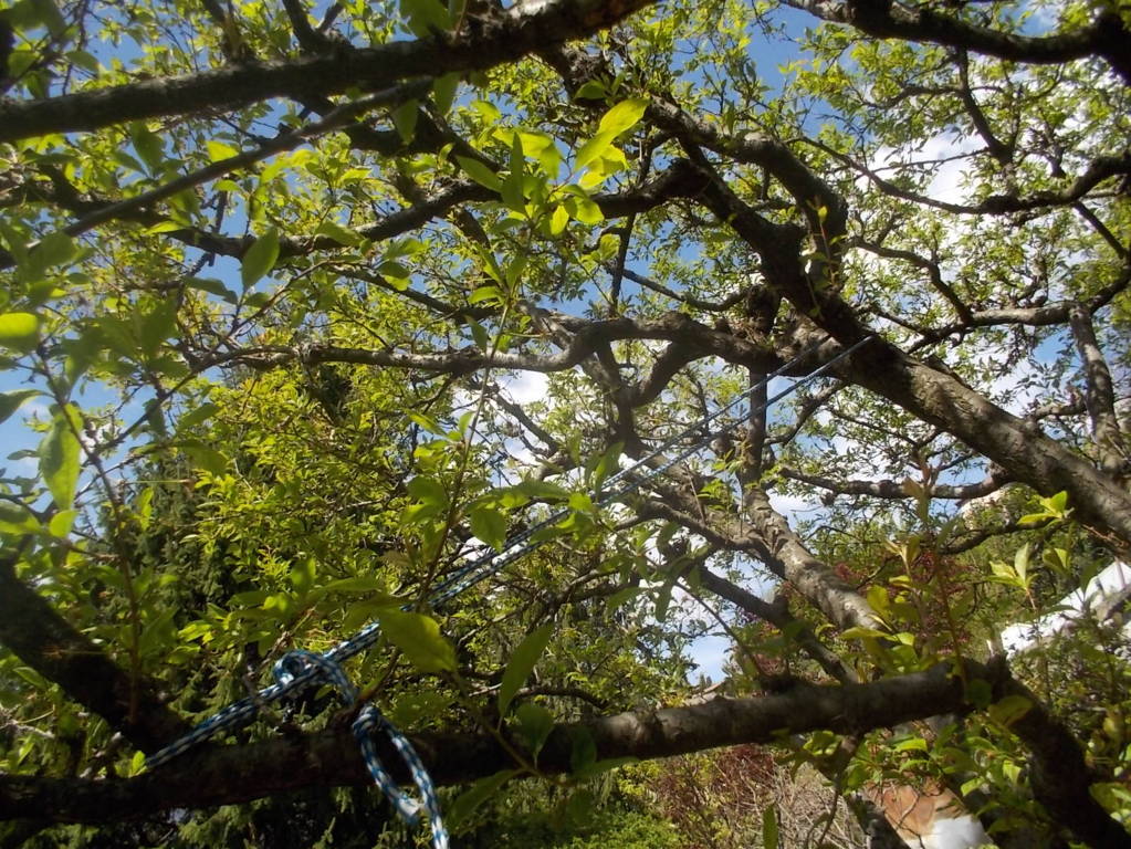 DSCN1625 (FILEminimizer)