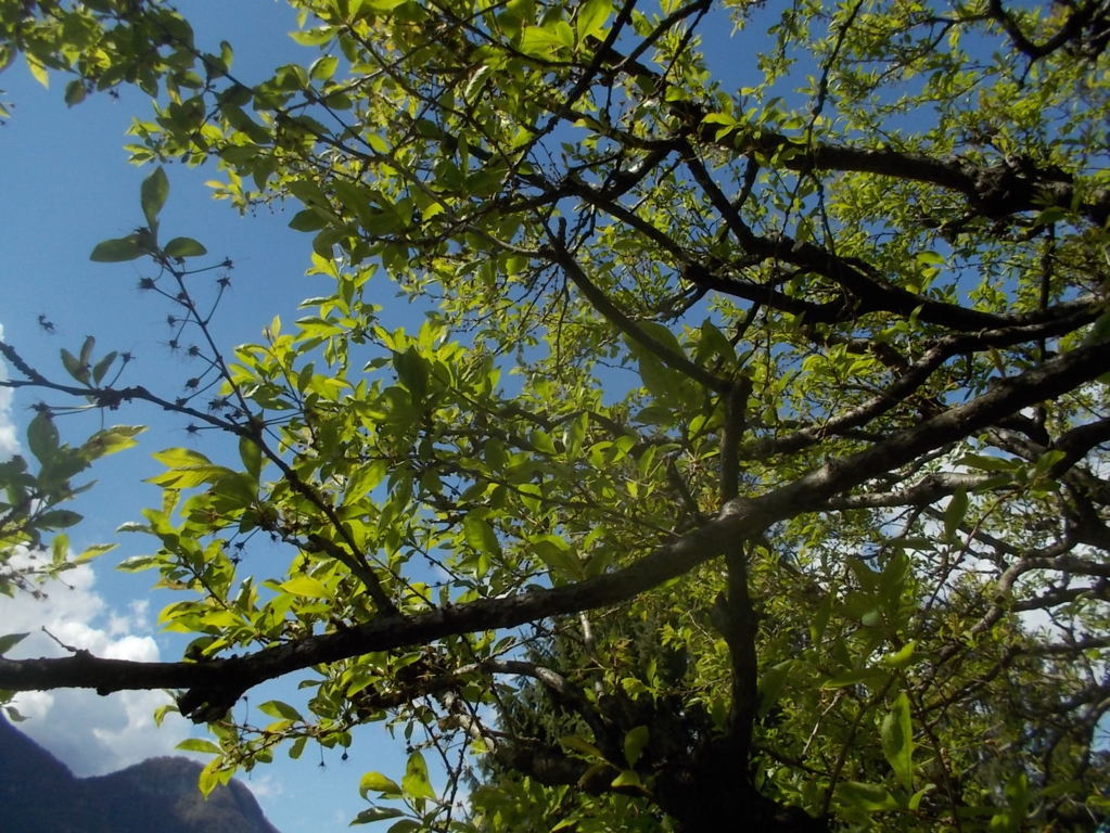 DSCN1626 (FILEminimizer)