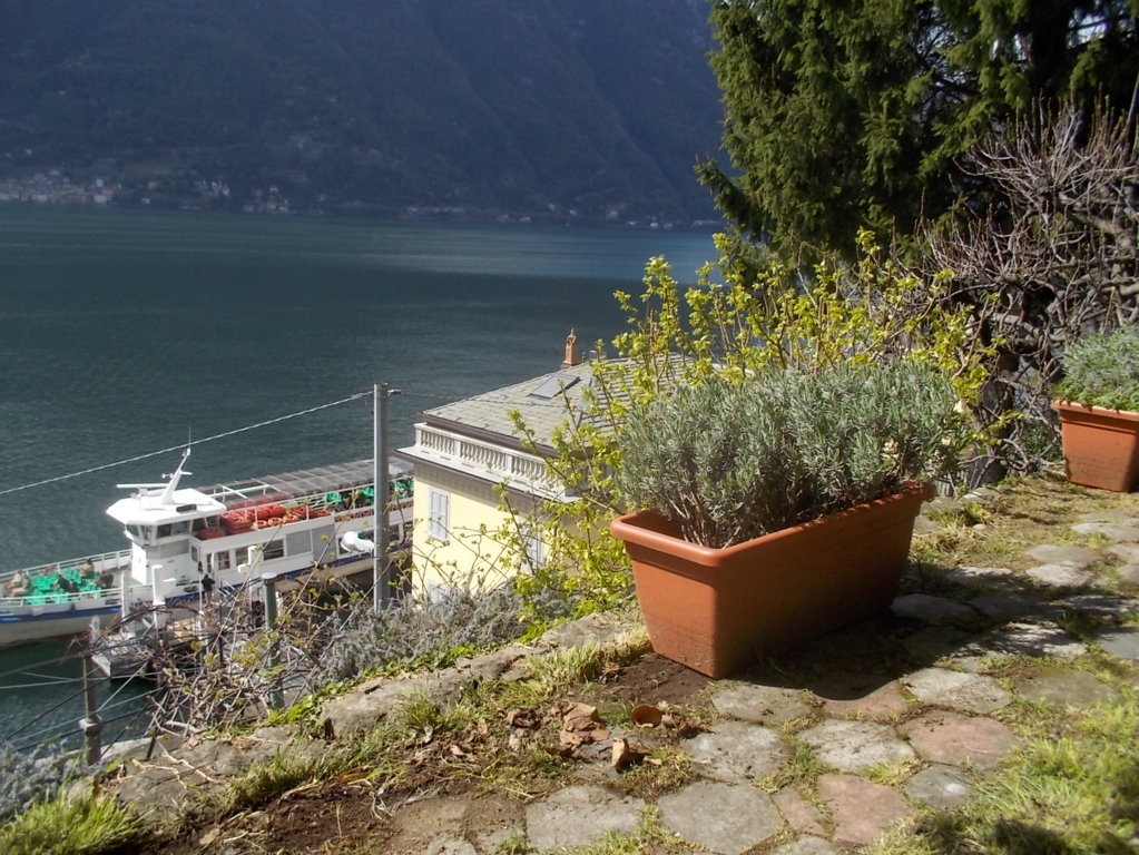 DSCN1628 (FILEminimizer)