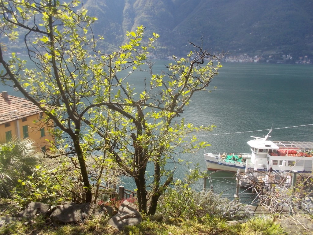 DSCN1629 (FILEminimizer)