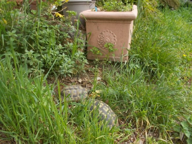 DSCN1633 (FILEminimizer)