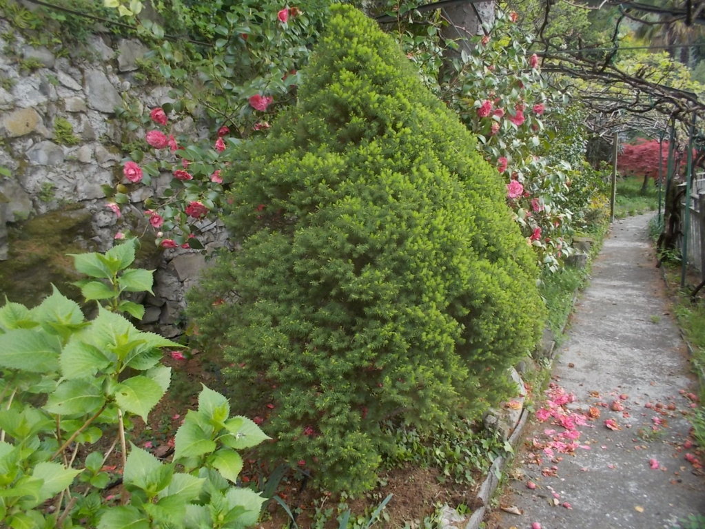 DSCN1678 (FILEminimizer)