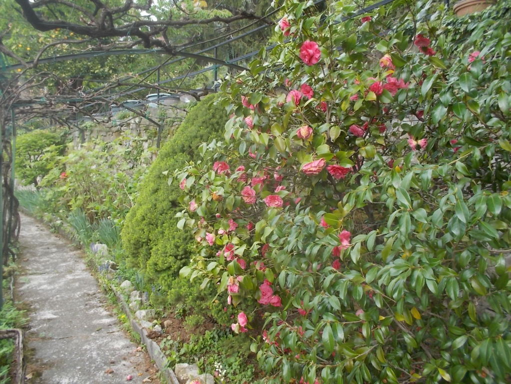 DSCN1679 (FILEminimizer)