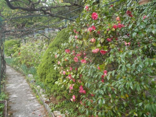 DSCN1679 (FILEminimizer)