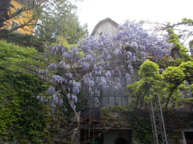 DSCN1680 (FILEminimizer)