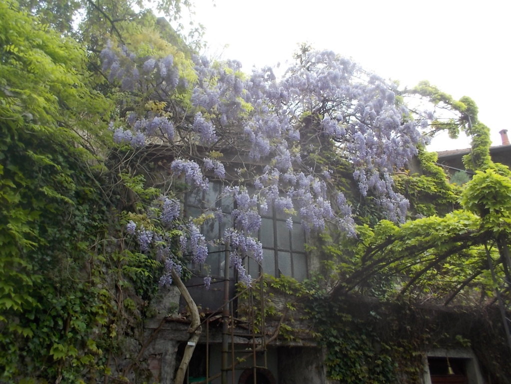 DSCN1681 (FILEminimizer)