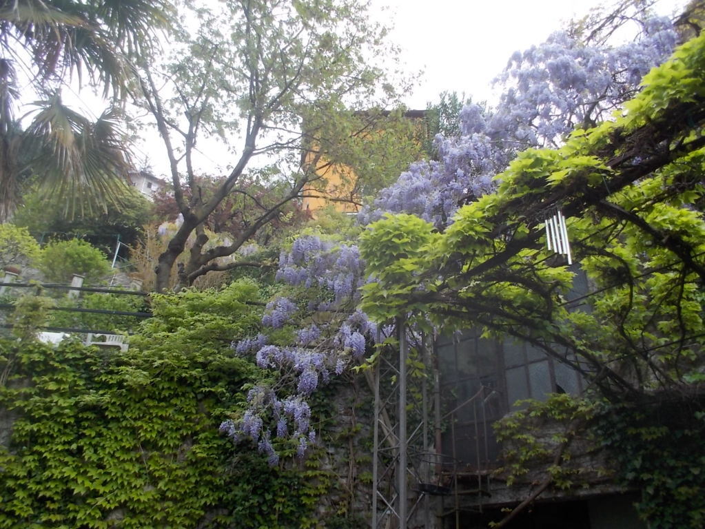 DSCN1682 (FILEminimizer)