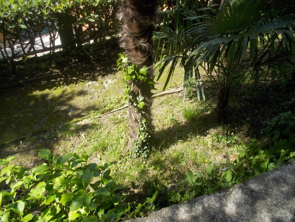 DSCN1701 (FILEminimizer)