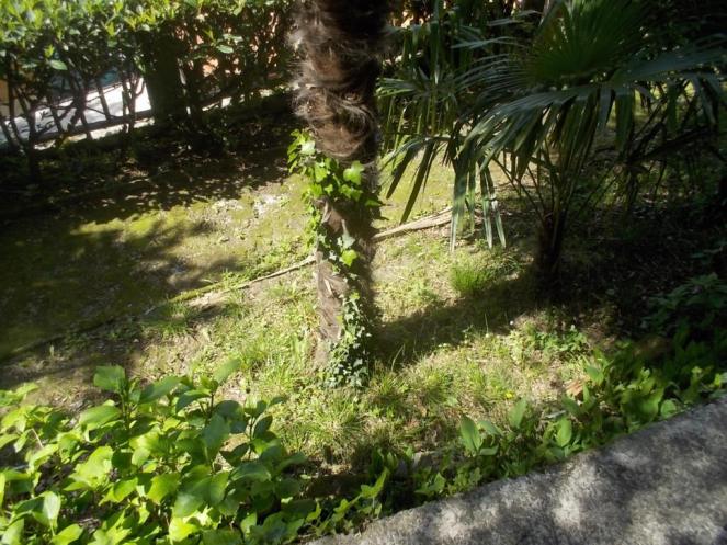 DSCN1701 (FILEminimizer)