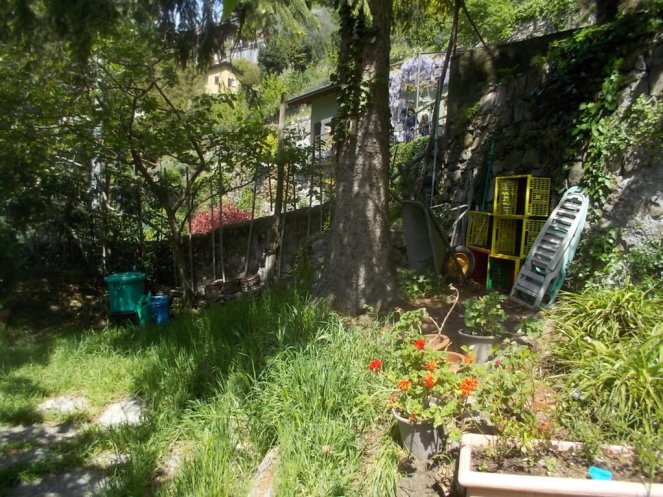 DSCN1736 (FILEminimizer)