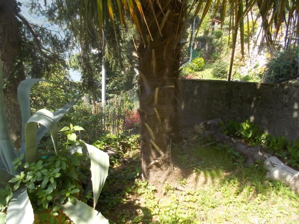 DSCN1766 (FILEminimizer)