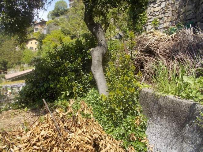 DSCN1768 (FILEminimizer)