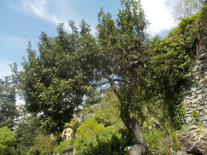 DSCN1769 (FILEminimizer)