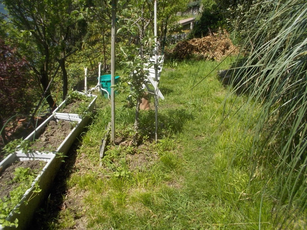 DSCN1773 (FILEminimizer)