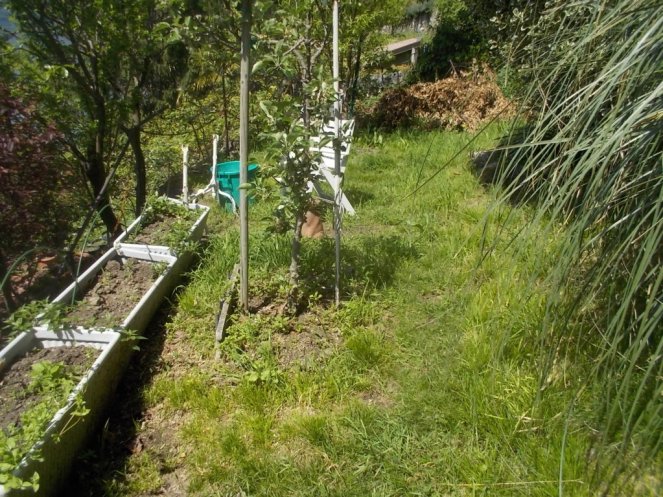 DSCN1773 (FILEminimizer)