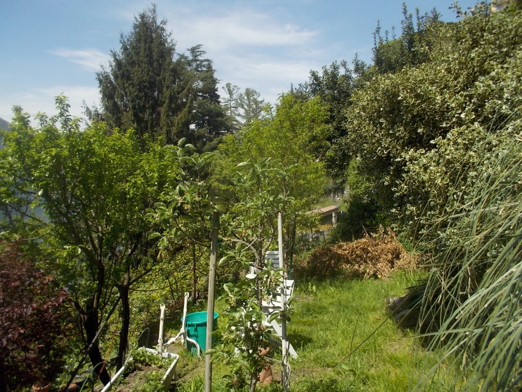 DSCN1774 (FILEminimizer)