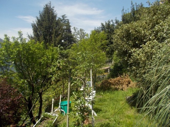 DSCN1774 (FILEminimizer)