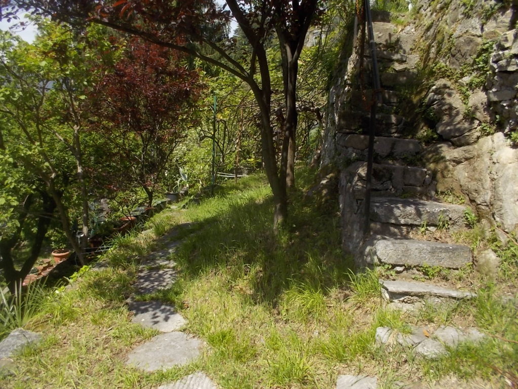 DSCN1775 (FILEminimizer)