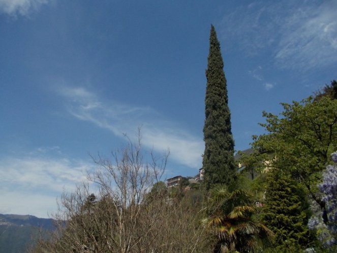 DSCN1821 (FILEminimizer)