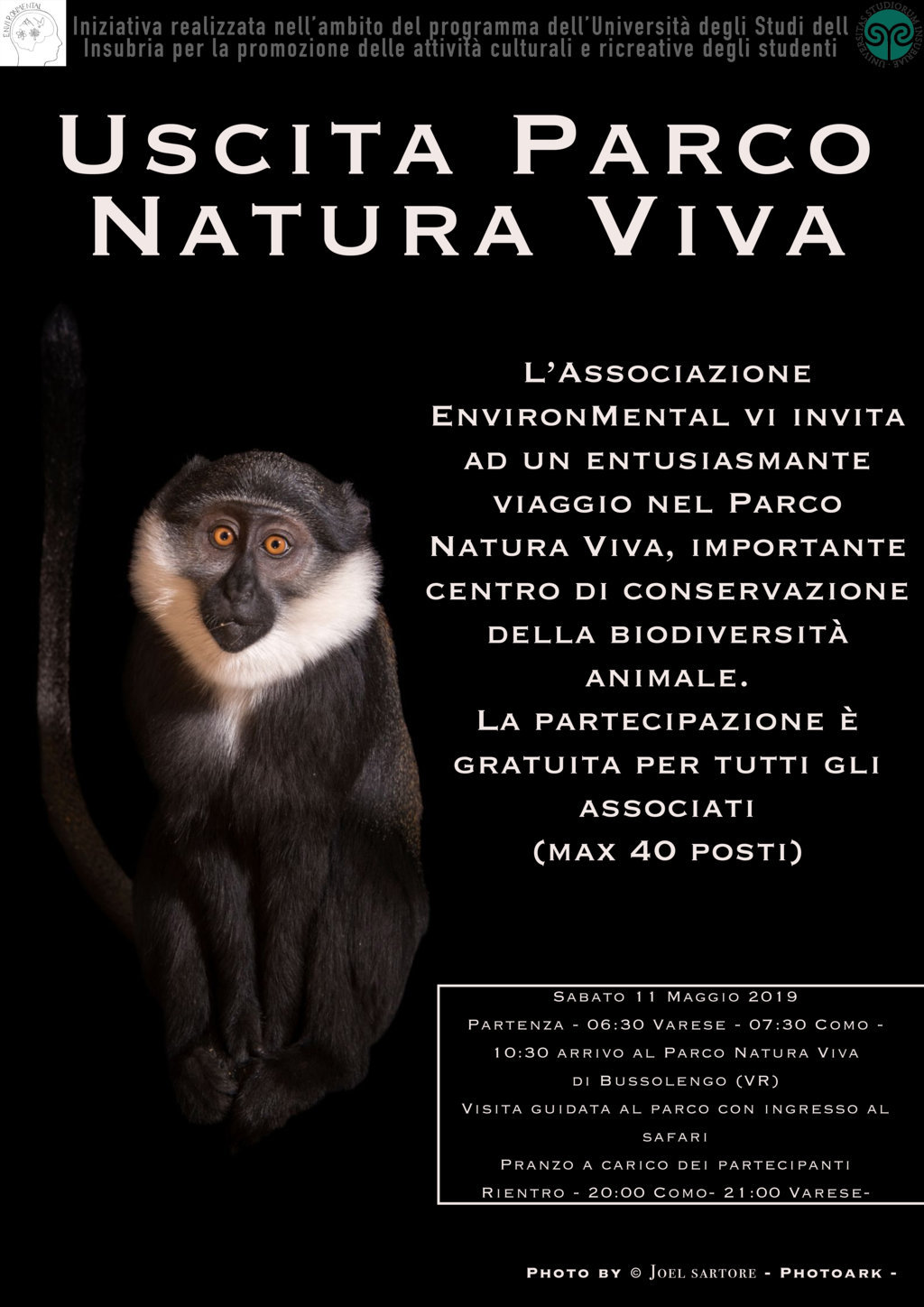 monkPNV (FILEminimizer)