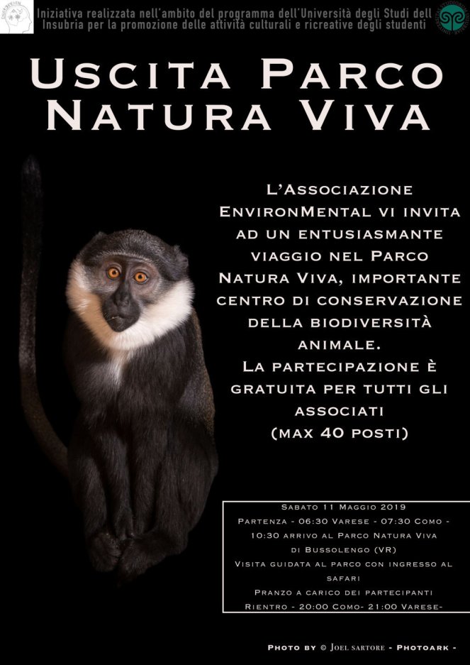 monkPNV (FILEminimizer)