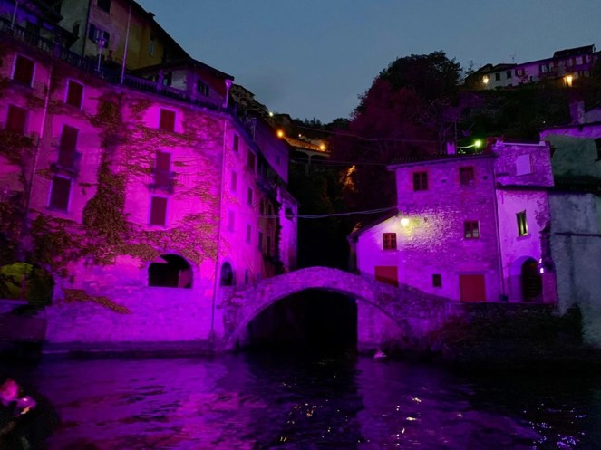 60511157_409714212949237_5849802228029718528_n