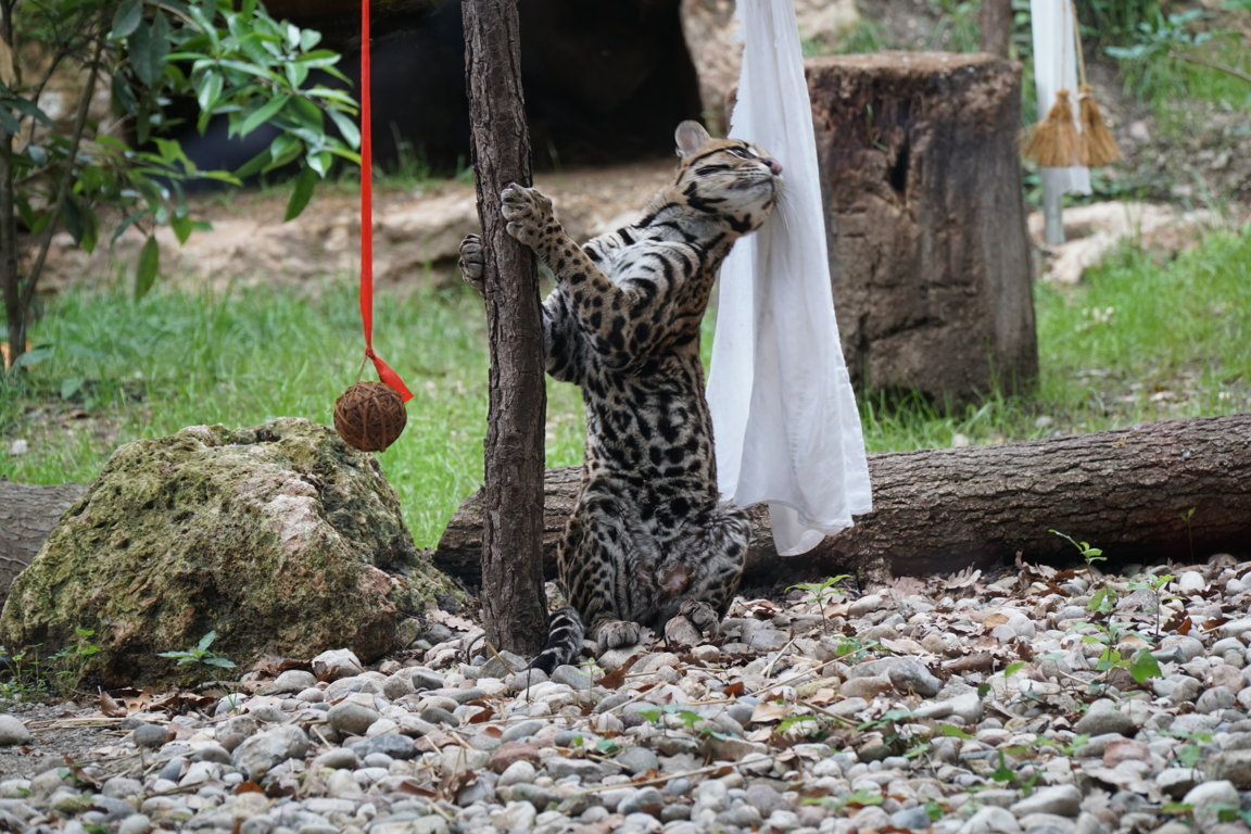 DSC06857 (FILEminimizer)