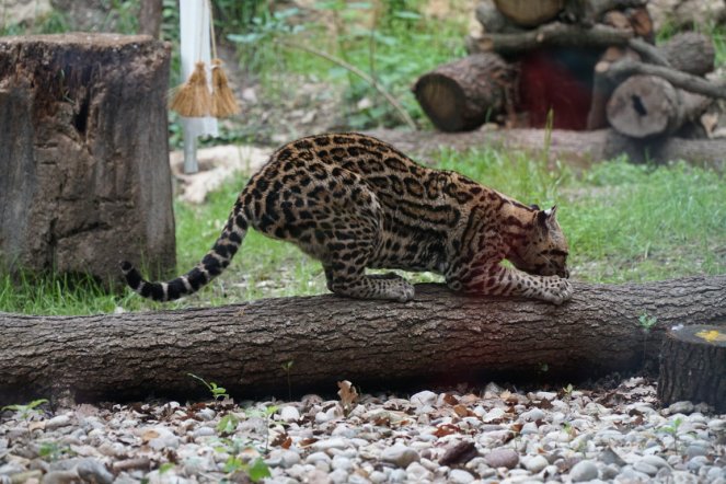 DSC06864 (FILEminimizer)