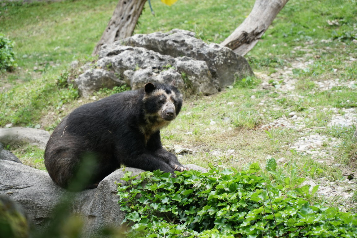 DSC06884 (FILEminimizer)