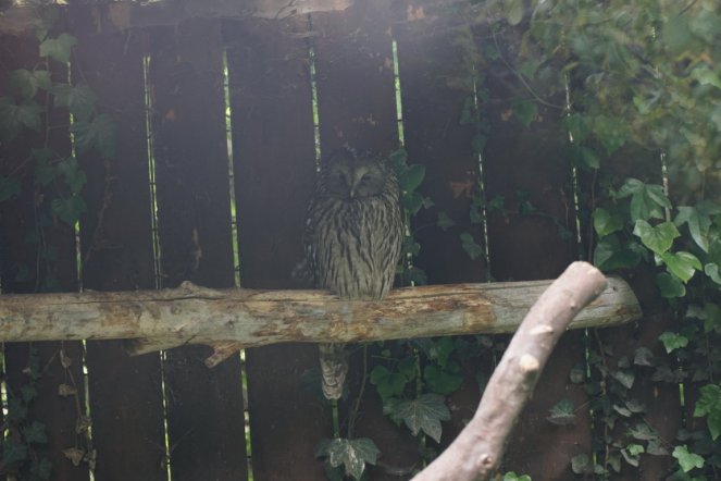 DSC06914 (FILEminimizer)