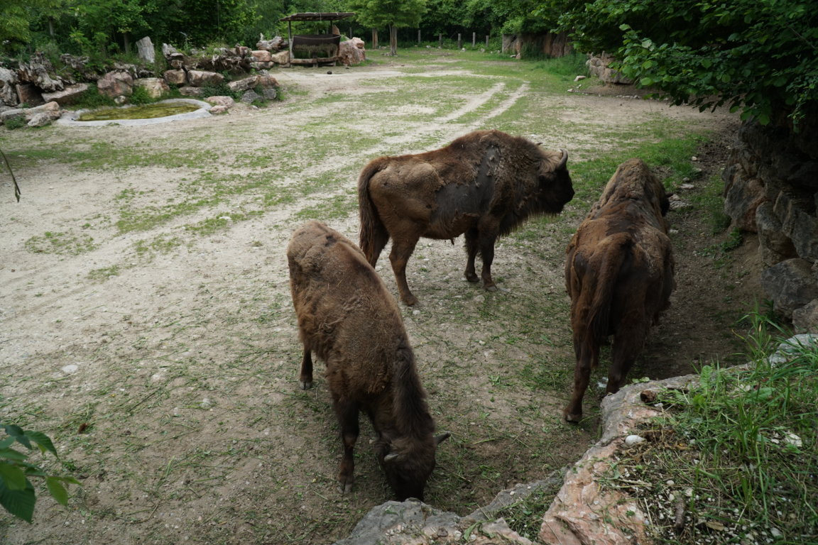 DSC06915 (FILEminimizer)