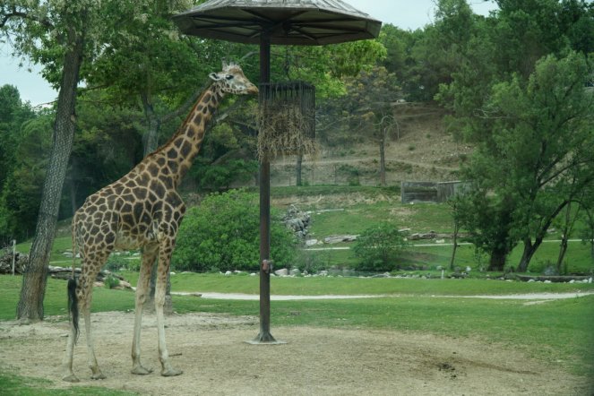 DSC07036 (FILEminimizer)