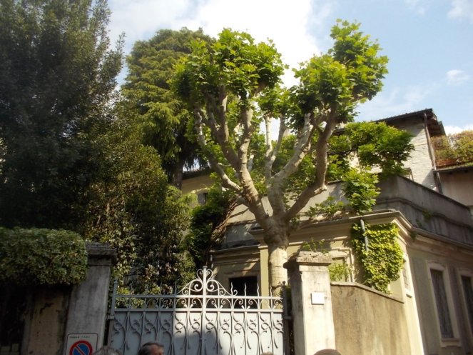 DSCN2085 (FILEminimizer)