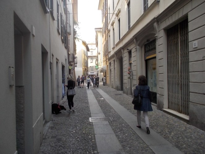 DSCN2088 (FILEminimizer)