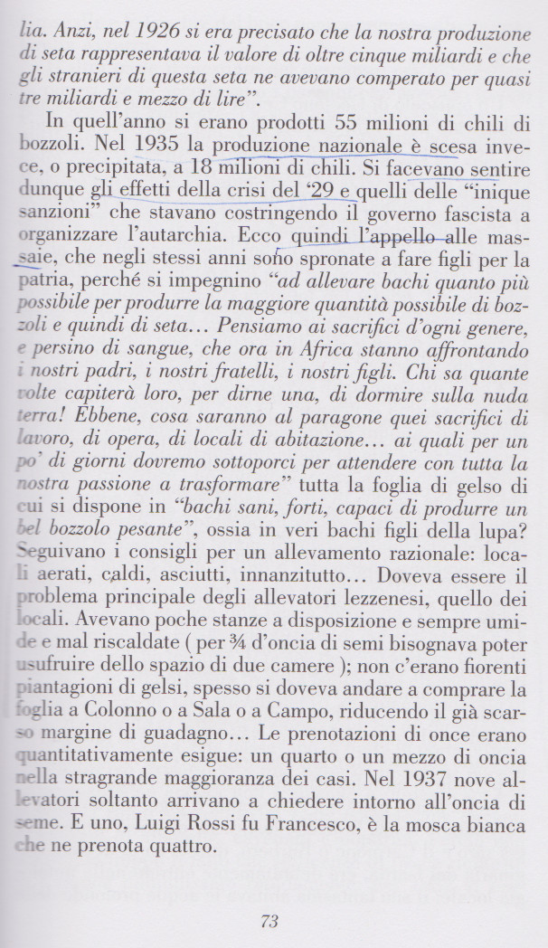 seta luoni1563