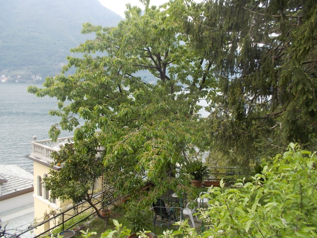 DSCN1848 (FILEminimizer)