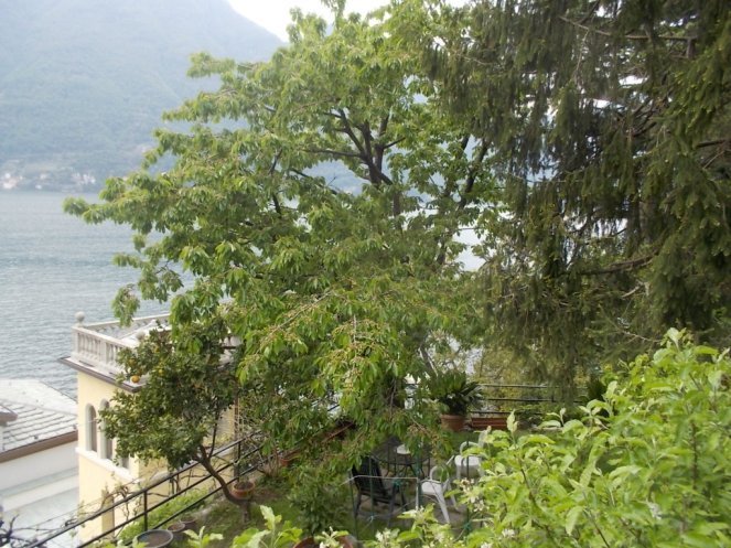 DSCN1848 (FILEminimizer)