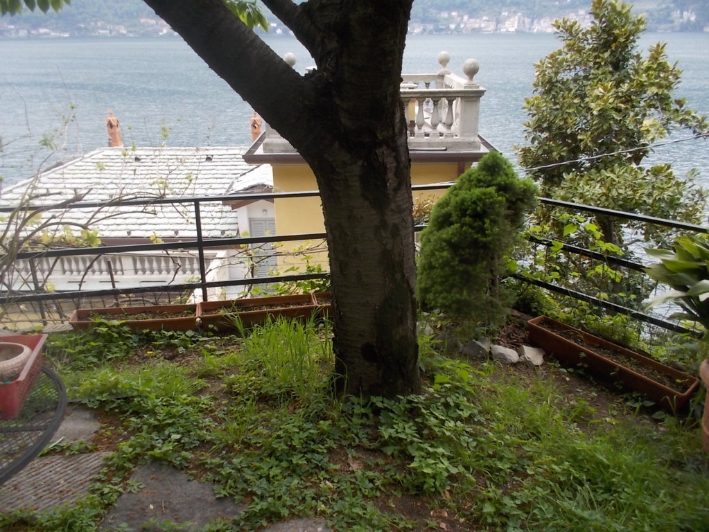 DSCN1849 (FILEminimizer)