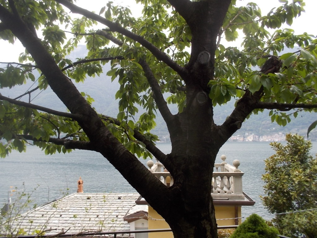 DSCN1850 (FILEminimizer)