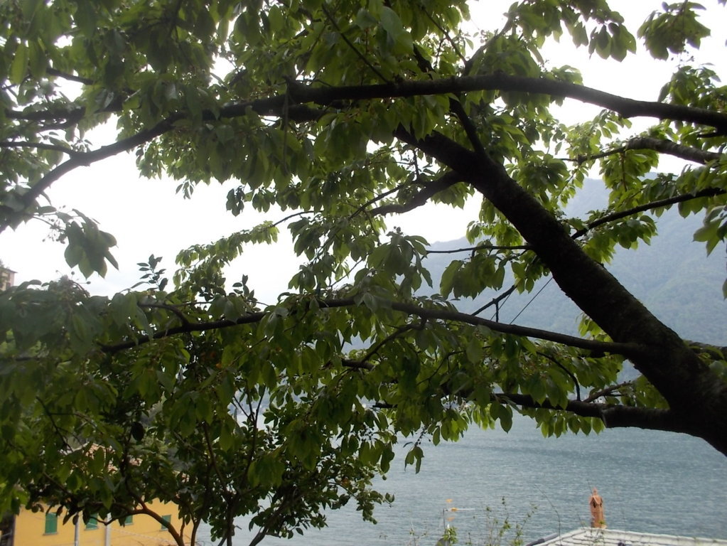 DSCN1851 (FILEminimizer)