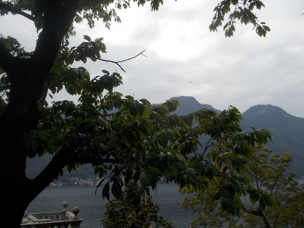 DSCN1852 (FILEminimizer)