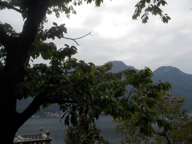 DSCN1852 (FILEminimizer)