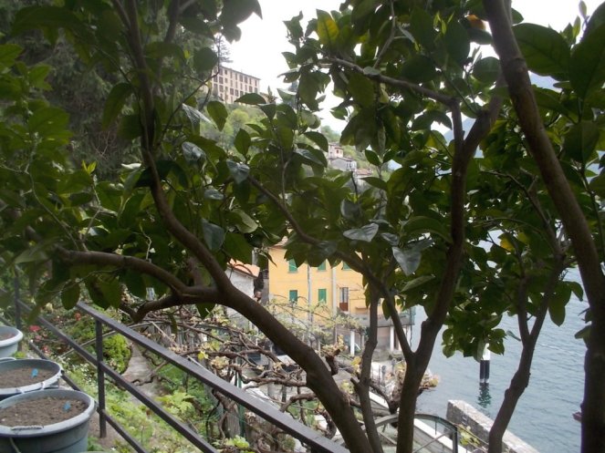 DSCN1856 (FILEminimizer)