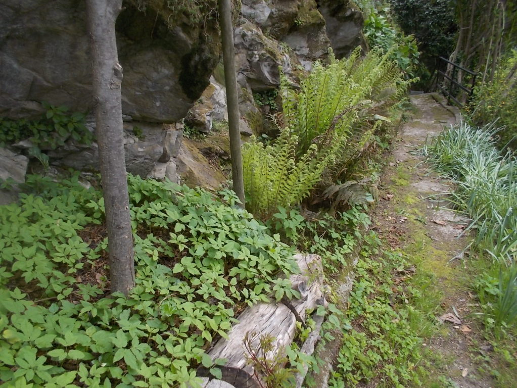 DSCN1865 (FILEminimizer)