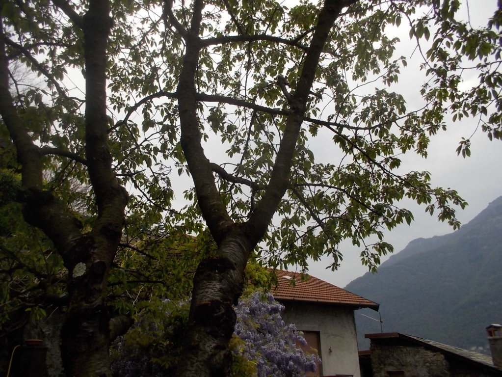 DSCN1872 (FILEminimizer)