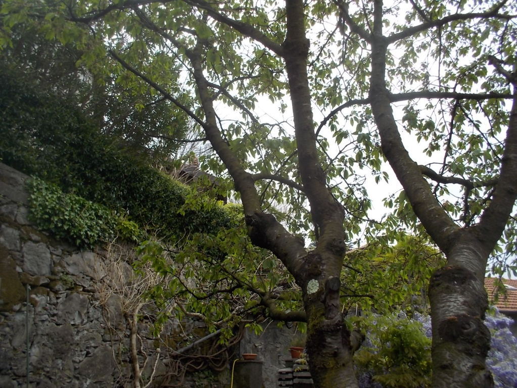 DSCN1873 (FILEminimizer)