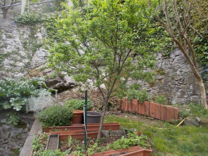 DSCN1874 (FILEminimizer)